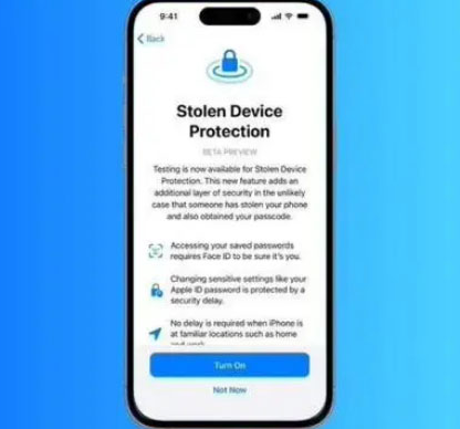 沙坪坝苹果授权维修店分享被盗设备保护功能开启方法 