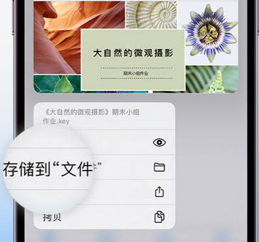 沙坪坝apple维修中心分享iPhone文件应用中存储和找到下载文件