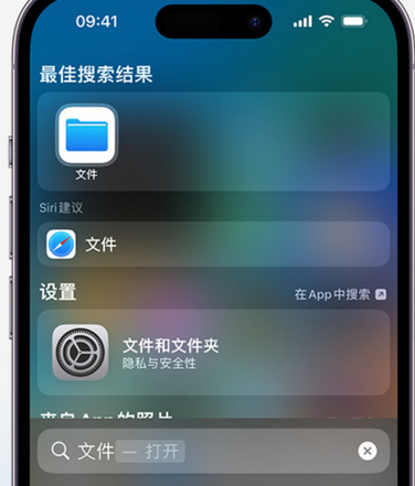 沙坪坝apple维修中心分享iPhone文件应用中存储和找到下载文件 