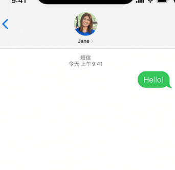 沙坪坝apple维修iPhone上无法正常发送iMessage信息