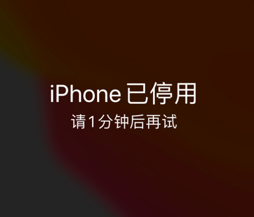 沙坪坝苹果手机维修分享:iPhone 显示“不可用”或“已停用”怎么办？还能保留数据吗？ 