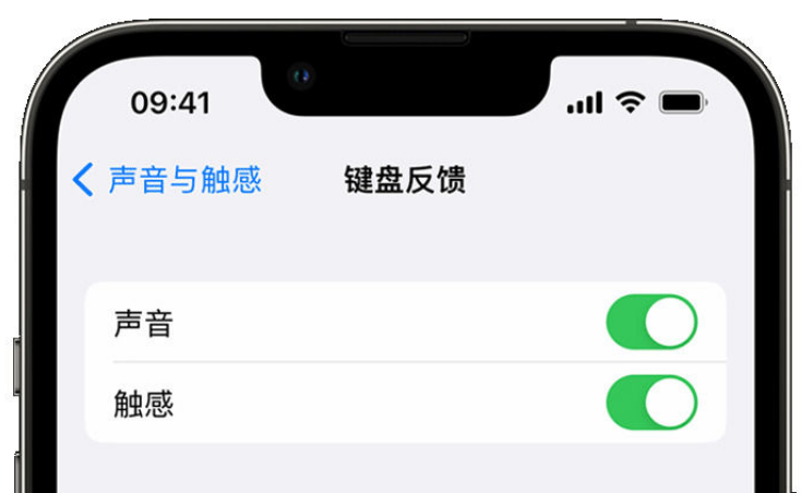 沙坪坝苹果手机维修分享iPhone 14触感键盘使用方法 