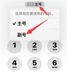 沙坪坝苹果14维修店分享iPhone 14 Pro Max使用副卡打电话的方法 