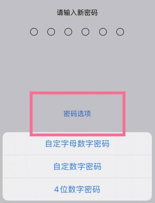 沙坪坝苹果14维修分享iPhone 14plus设置密码的方法 