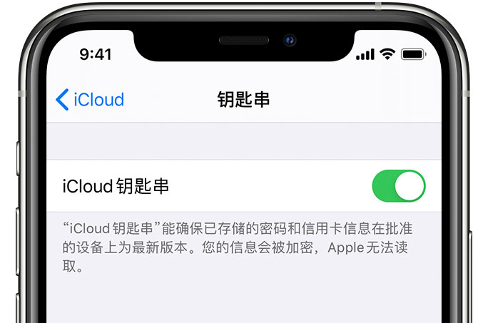 沙坪坝苹果手机维修分享在 iPhone 上开启 iCloud 钥匙串之后会储存哪些信息 