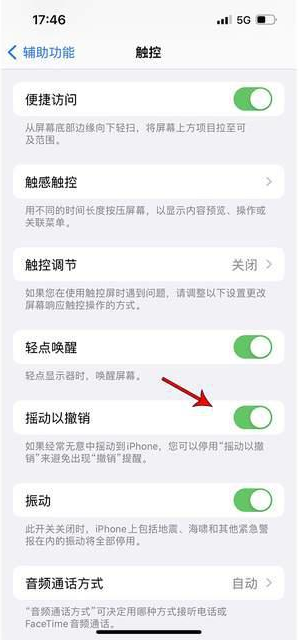 沙坪坝苹果手机维修分享iPhone手机如何设置摇一摇删除文字 