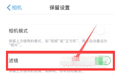 沙坪坝苹果13维修分享iPhone13拍照有绿点是怎么回事 