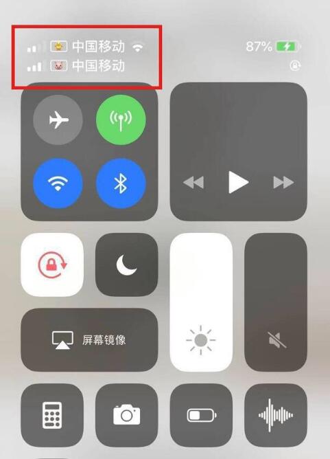 沙坪坝苹果手机维修分享为 iPhone 12 双卡设置标签 
