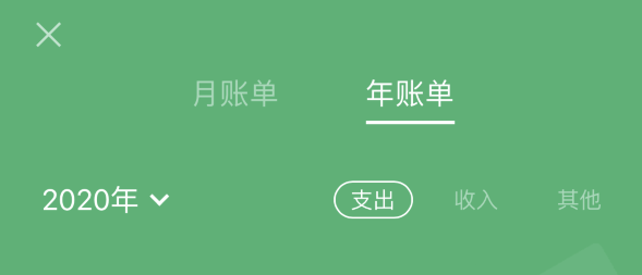 沙坪坝苹果手机维修分享如何在 iPhone 上查看支付宝和微信年支出账单 